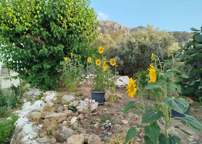 Grossvaters Haus - Ein 150 Jahre Altes Steinhaus By Interhome Vakantiehuis Kos-stad