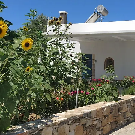 Grossvaters Haus - Ein 150 Jahre Altes Steinhaus By Interhome Casa vacanze Città di Kos
